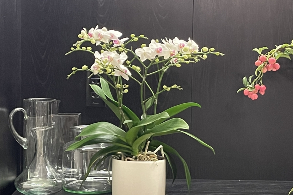 Căn hộ cao cấp Parkland Thảo Điền - Chị Trang 